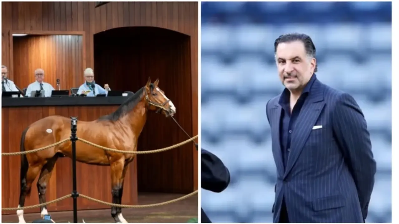 رجل أعمال سعودي يشتري مهراً في مزاد أمريكي بمبلغ قياسي يتجاوز 10 ملايين دولار